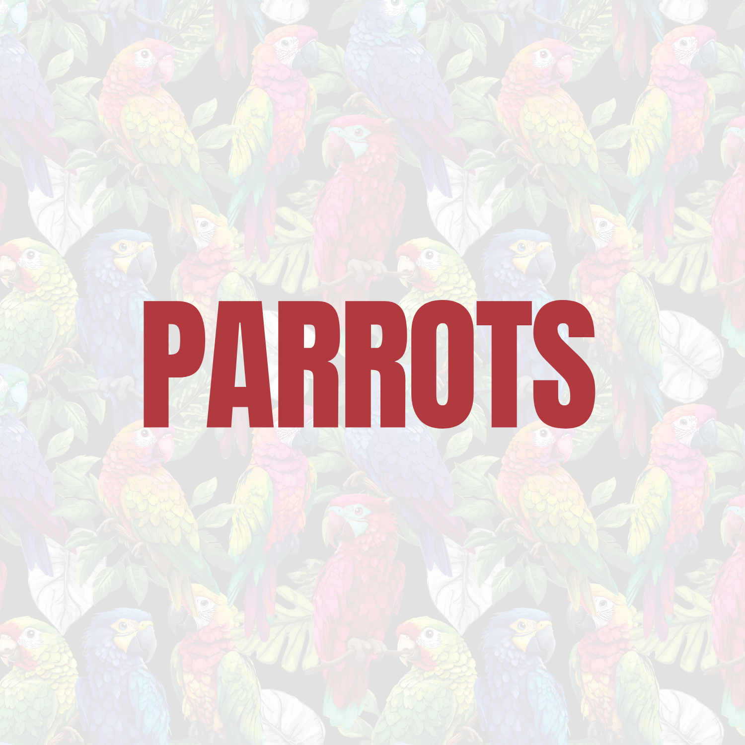 PARROTS