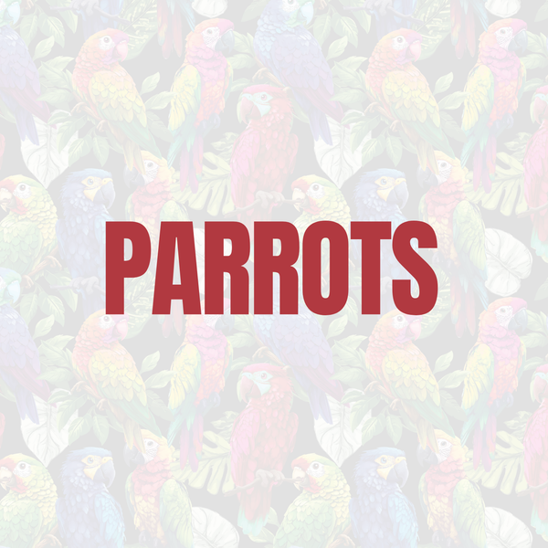 PARROTS